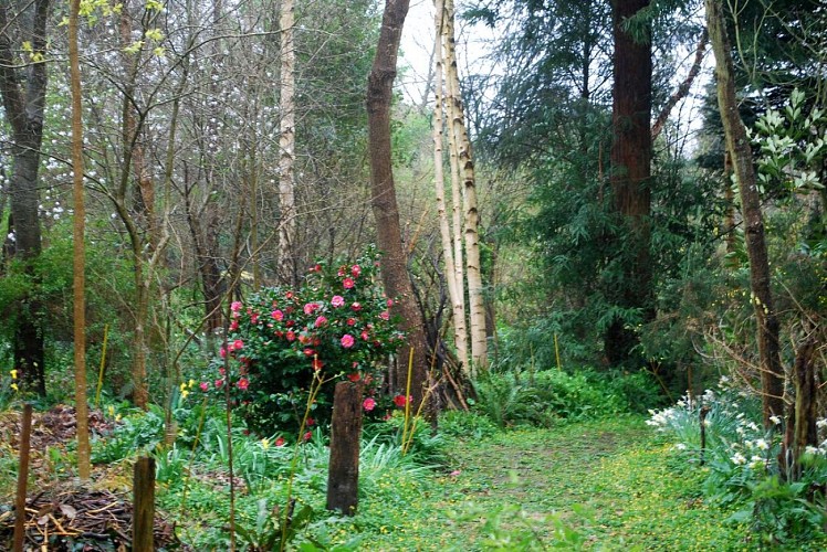 saint-pellerin-jardin-blom-myraland-4