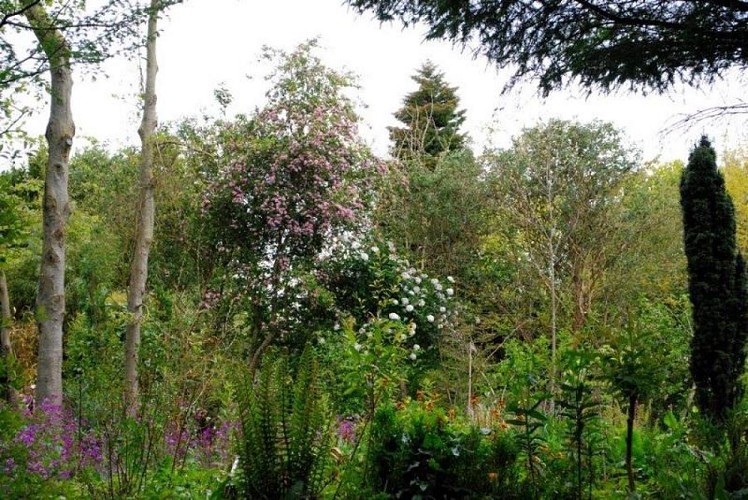 saint-pellerin-jardin-blom-myraland-2