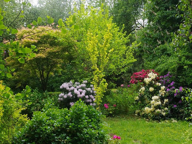 rampan-jardin-le-pre-du-moulin-7