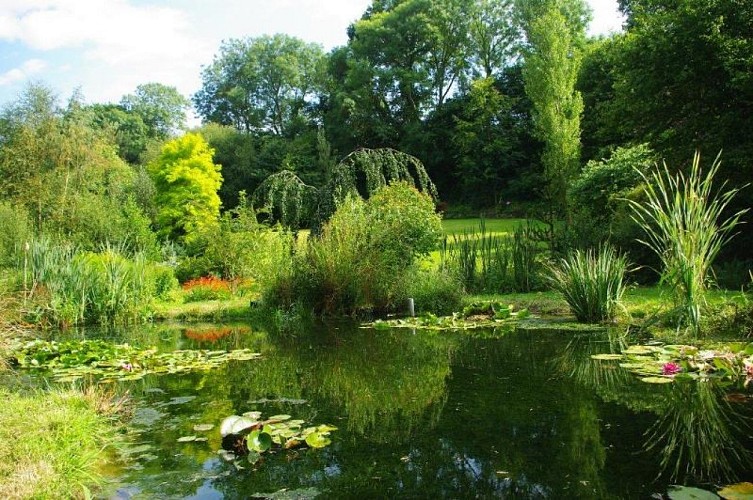 rampan-jardin-le-pre-du-moulin-3