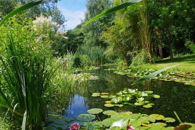 rampan-jardin-le-pre-du-moulin-4