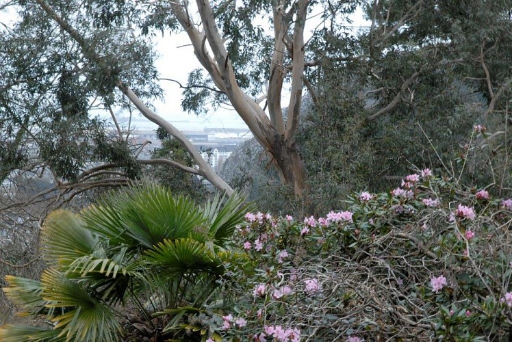 Parc botanique de la Roche-Fauconnière