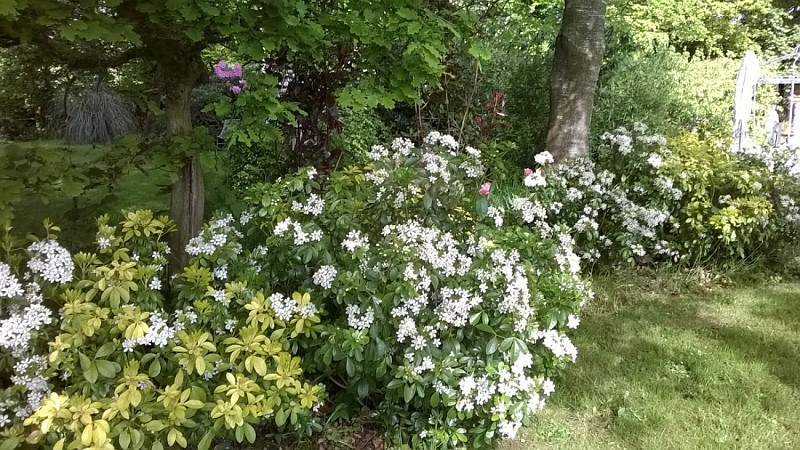 bolleville-la-grange-des-arts-6