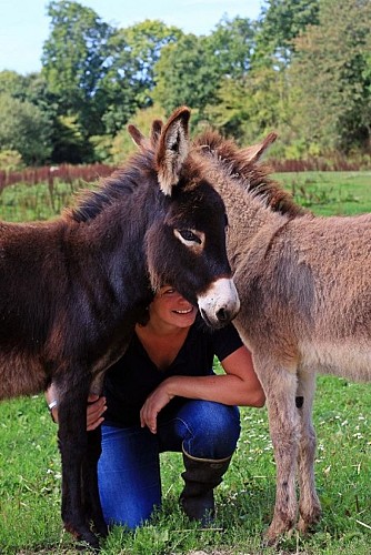 le-mesnil-vigot-asinerie-lisane-3