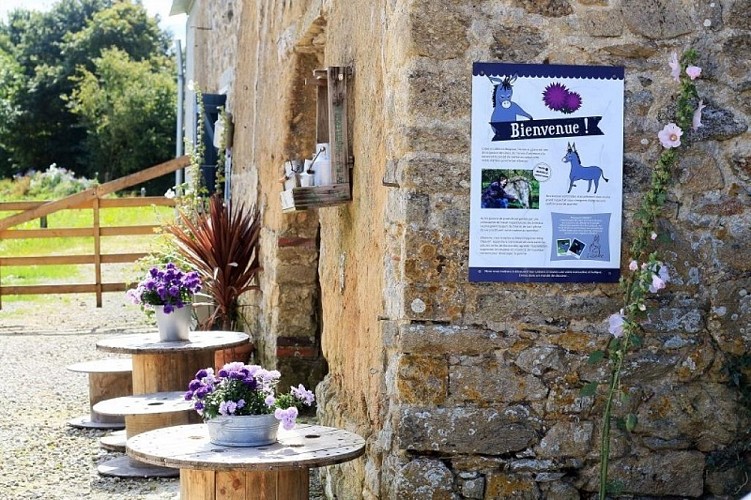 le-mesnil-vigot-asinerie-lisane-0