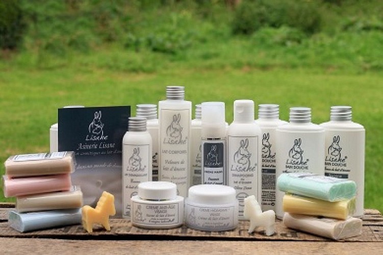 le-mesnil-vigot-asinerie-lisane-4