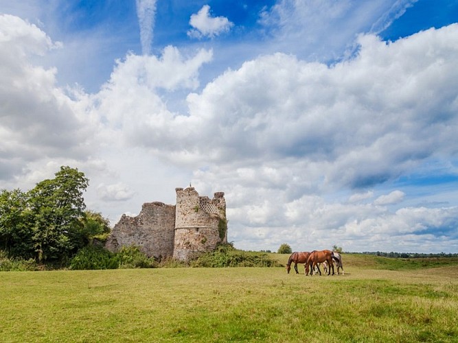 Château de la Rivière