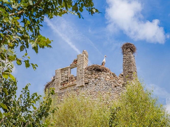 Château de Saint-Fromond 2