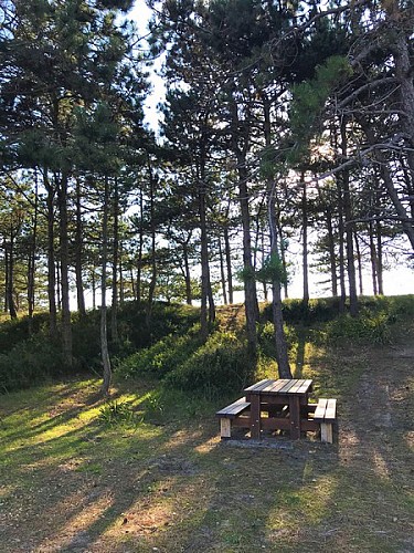 Aire de Pique Nique > Havre de la Vanlée - Lingreville