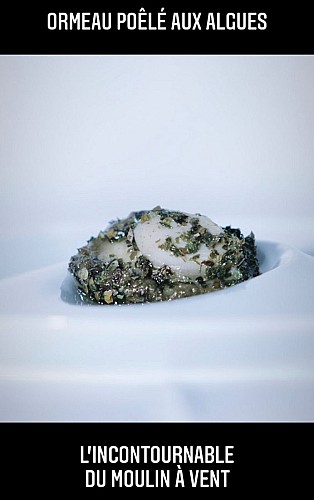 Saint-Germain-des-Vaux - le moulin à vent - 5