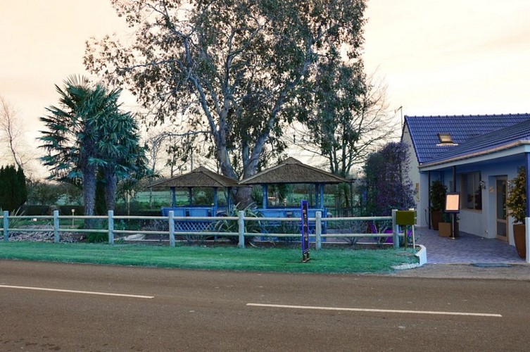 ravenoville-eucalyptus-4