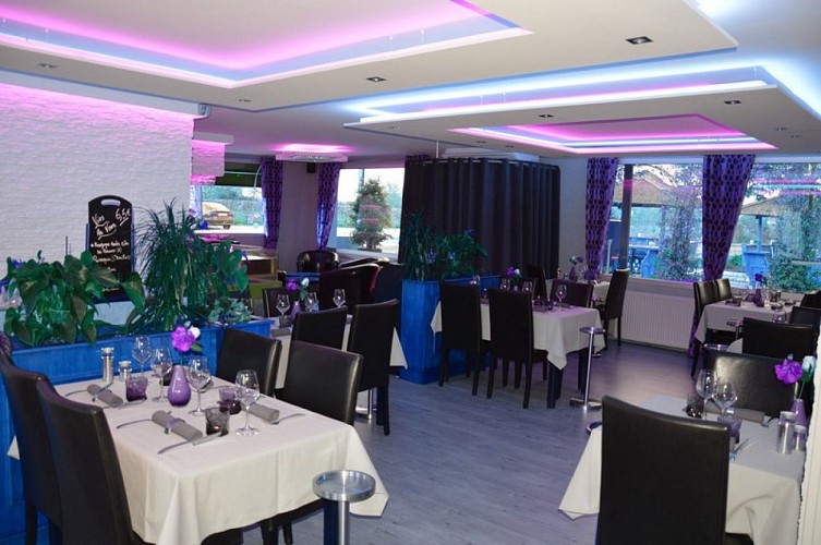 ravenoville-eucalyptus-8