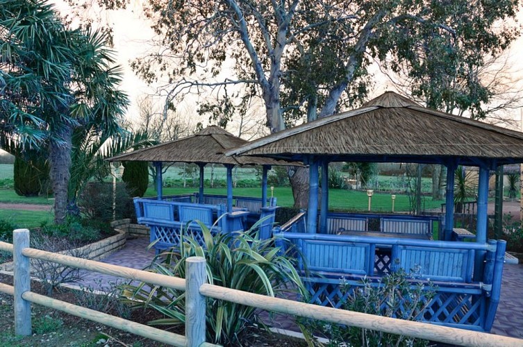 ravenoville-eucalyptus-3