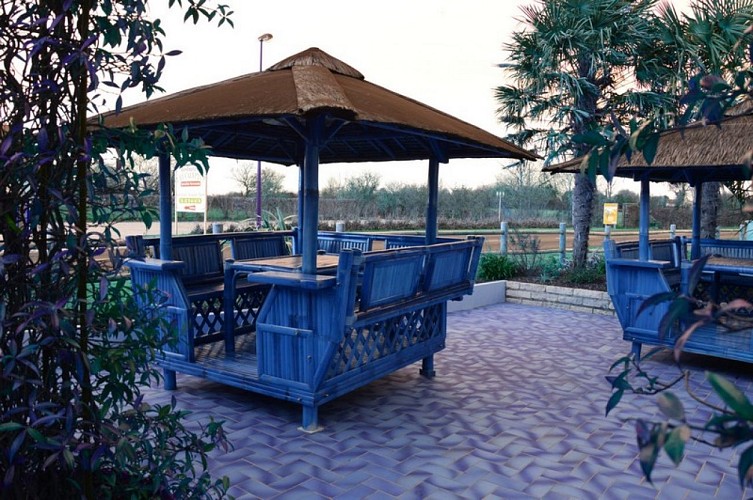 ravenoville-eucalyptus-6