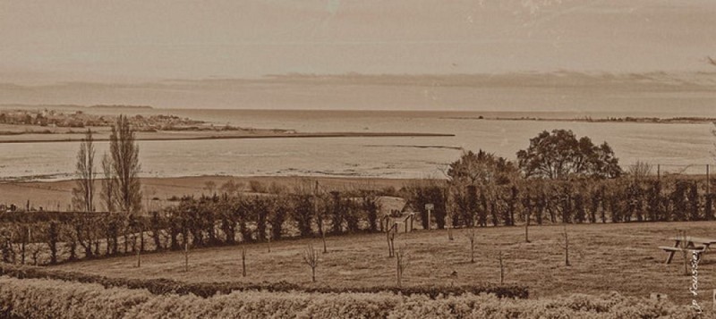 Restaurant tourville-sur-sienne extavagant..e  (4)