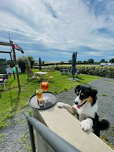 Restaurant tourville-sur-sienne extavagant..e  (8)