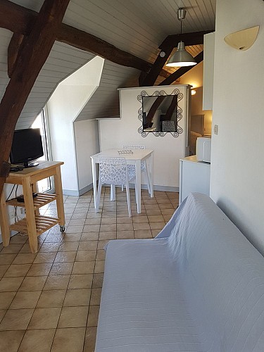 location_la_roche_posay_2_etoiles_Gres_Pompier_6_F (4).jpg_4