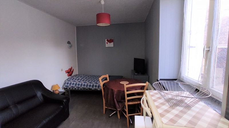 location_la_roche_posay_2_etoiles_Amiliole_ n°83 (angle 2)(2)