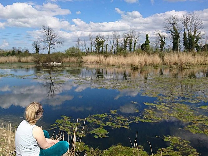 Méditation au Champ de la Pierre