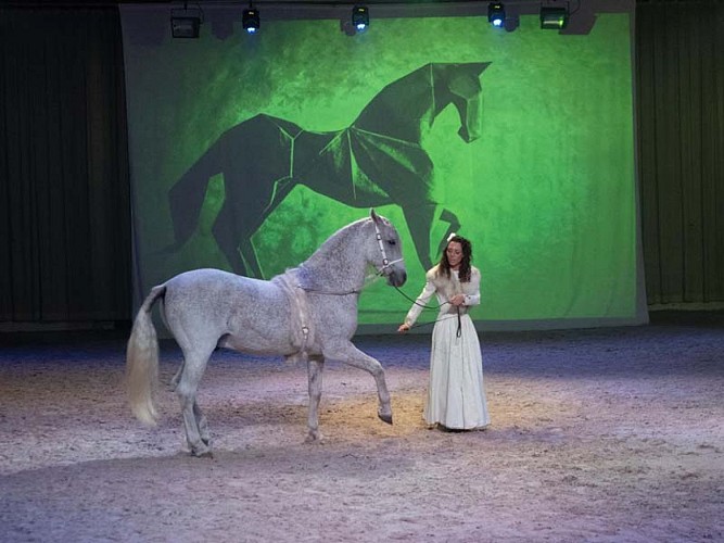 Spectacle équestre au Haras national du Pin