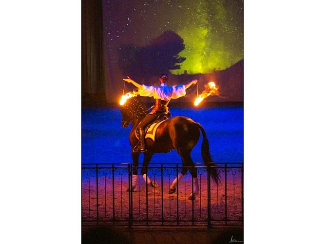 Spectacle équestre au Haras national du Pin