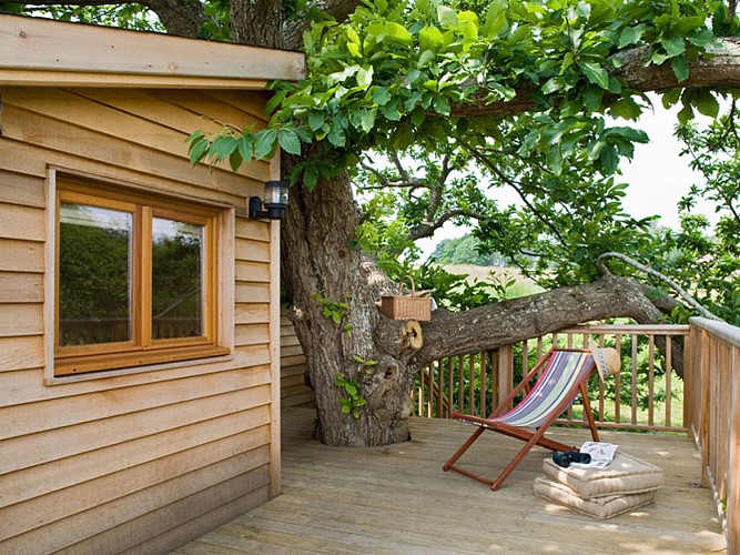 Cabane perchée dans le Perche - Bellou le Trichard