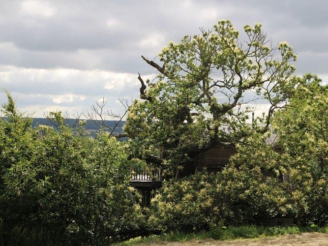 Perché dans le Perche