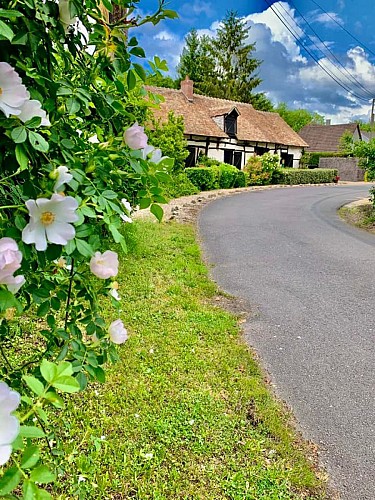 Rue des Faubourgs, Nançay (18)