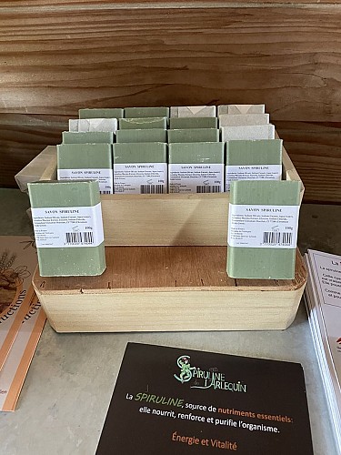 spiruline-arlequin-st-sauveur(2)