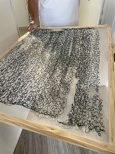 spiruline-arlequin-st-sauveur