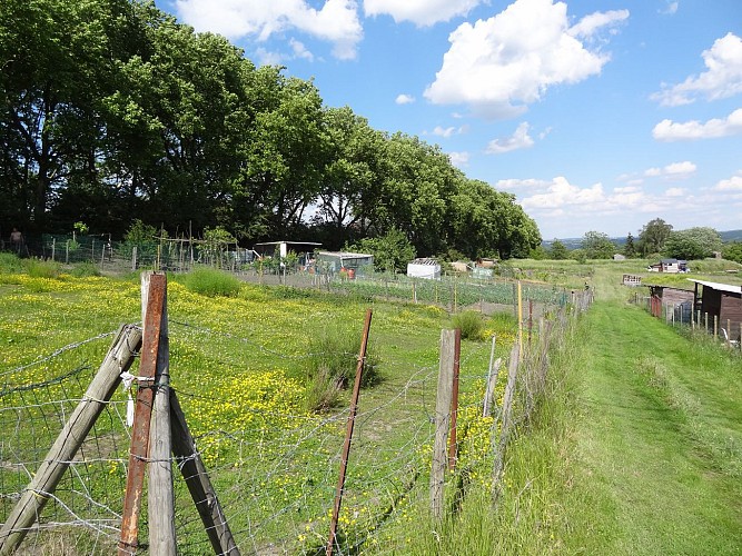 Vertigineuse rue de la Sèche