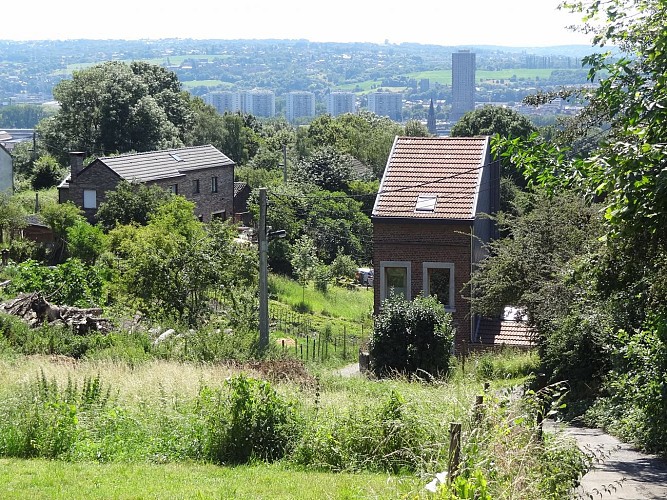 Vertigineuse rue de la Sèche