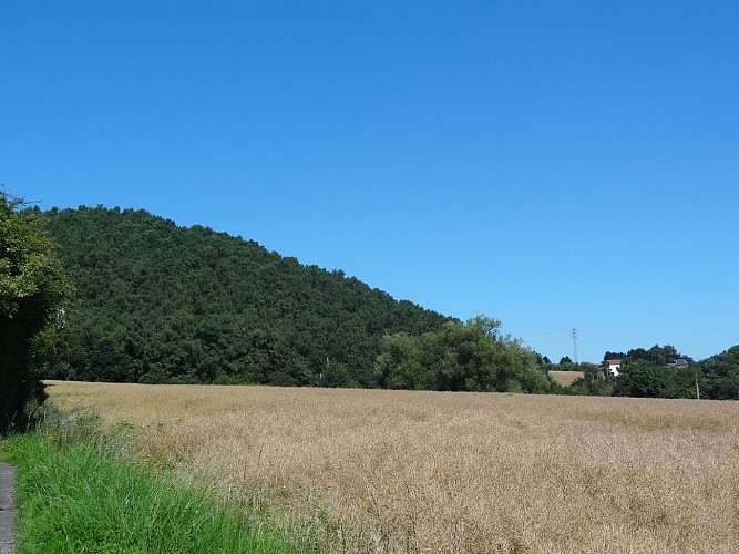 Maison contemporaine en bois de la ruelle des Bergers