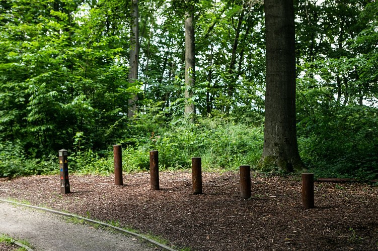 Bois de Beumont