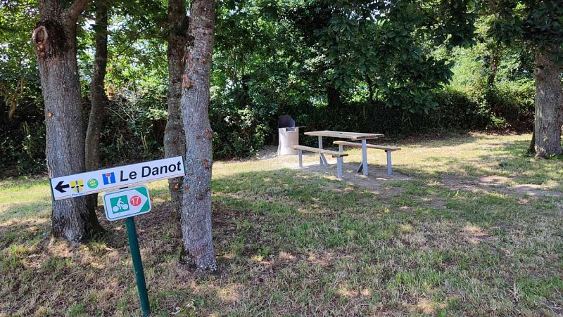 À l'ombre des grands arbres