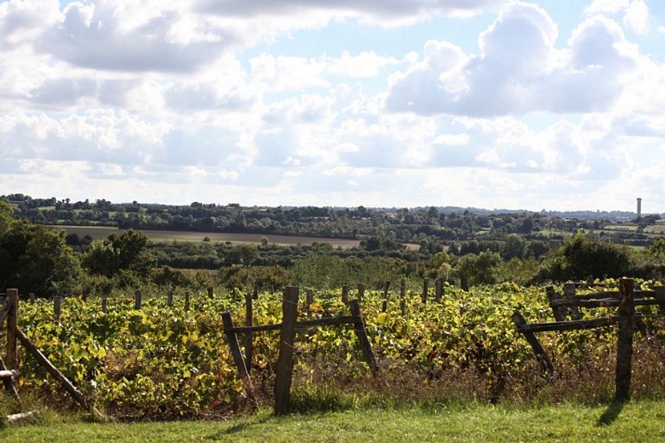 Tèrra Aventura Pamproux