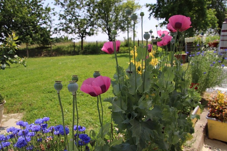 Barrouilhet Grange - jardin