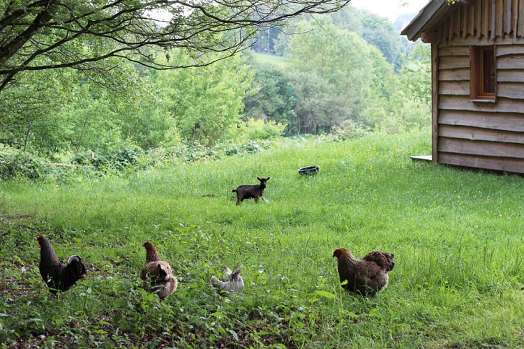 country_lodge_2018©M.Beslin_GDF61 (062)r