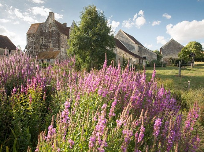 Chambre d'hôtes La Queurie