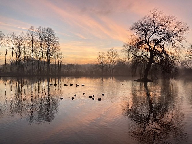 L'Etang d'un instant