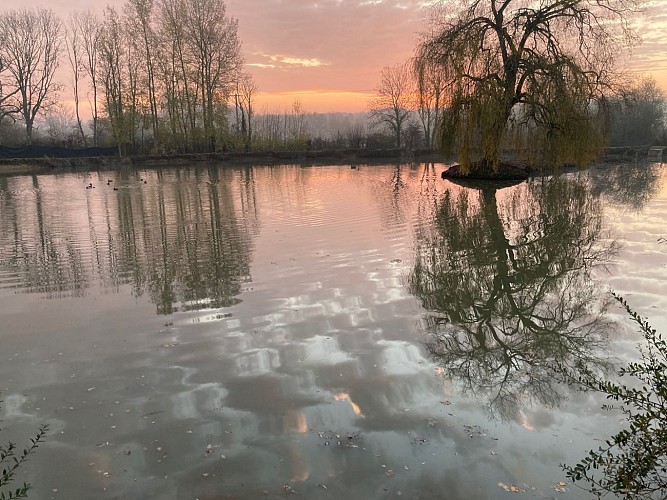 L'Etang d'un instant