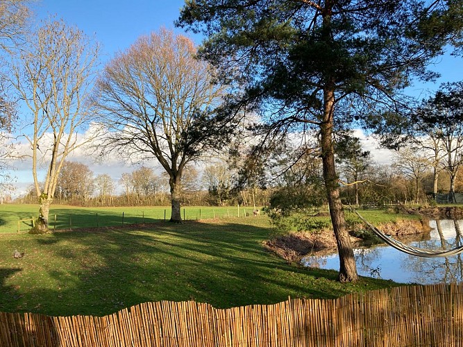 L'Etang d'un instant