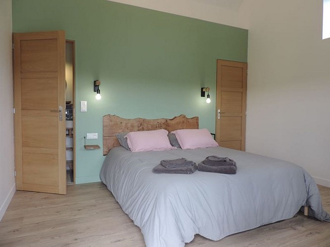 Chèvres-de-st-Ceneri-7-800