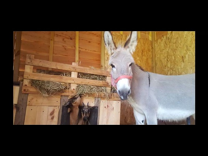 Les-Marais-10-Bretoncelles-800