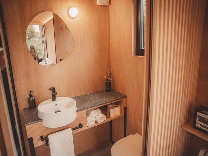 Sloowli-3-Colonard-800