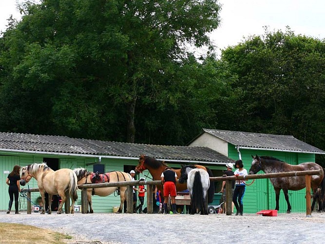 Centre équestre La Rotourelle - Ste Croix sur Orne