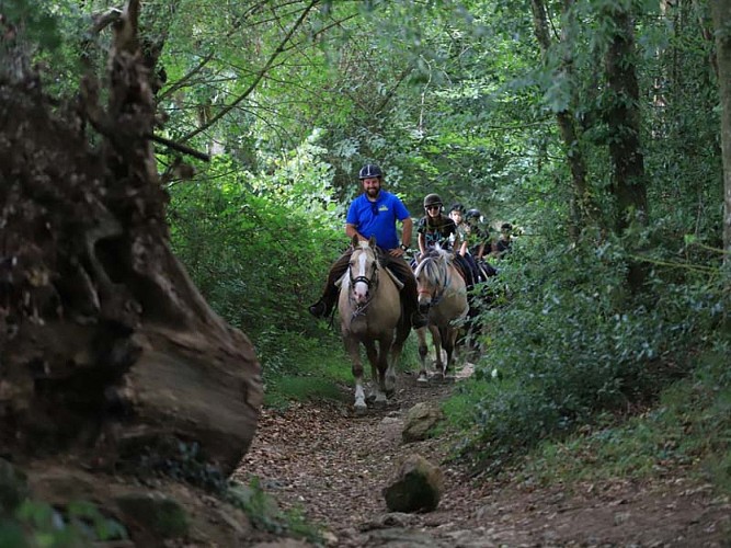 Centre équestre La Rotourelle - Ste Croix sur Orne