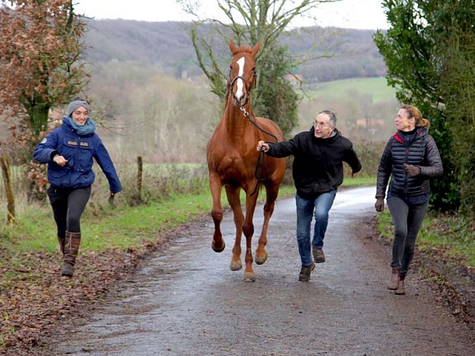 Ecuries du Sagittaire à Bretoncelles
