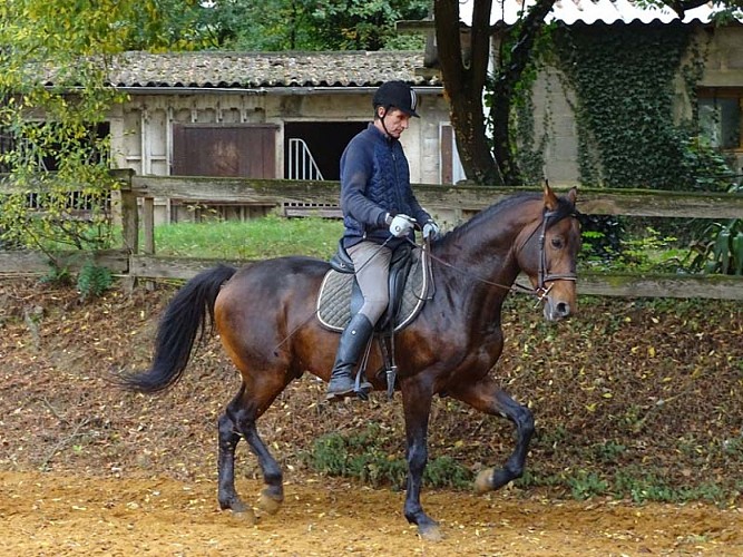 Ecuries du Sagittaire à Bretoncelles