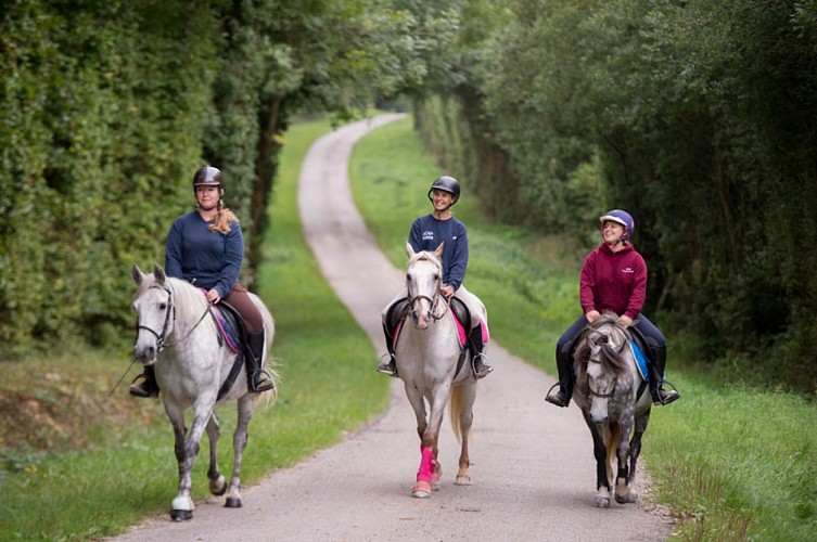 -Ecuries-Thalie--2-r